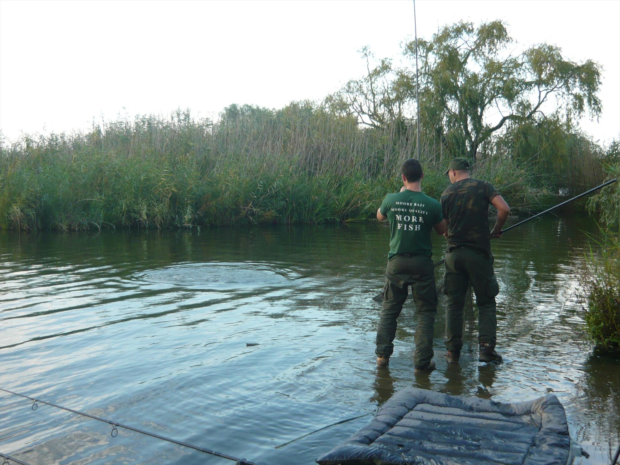 Best-2010 - p1020582.JPG